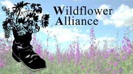 Wildflower Aliance<br />
